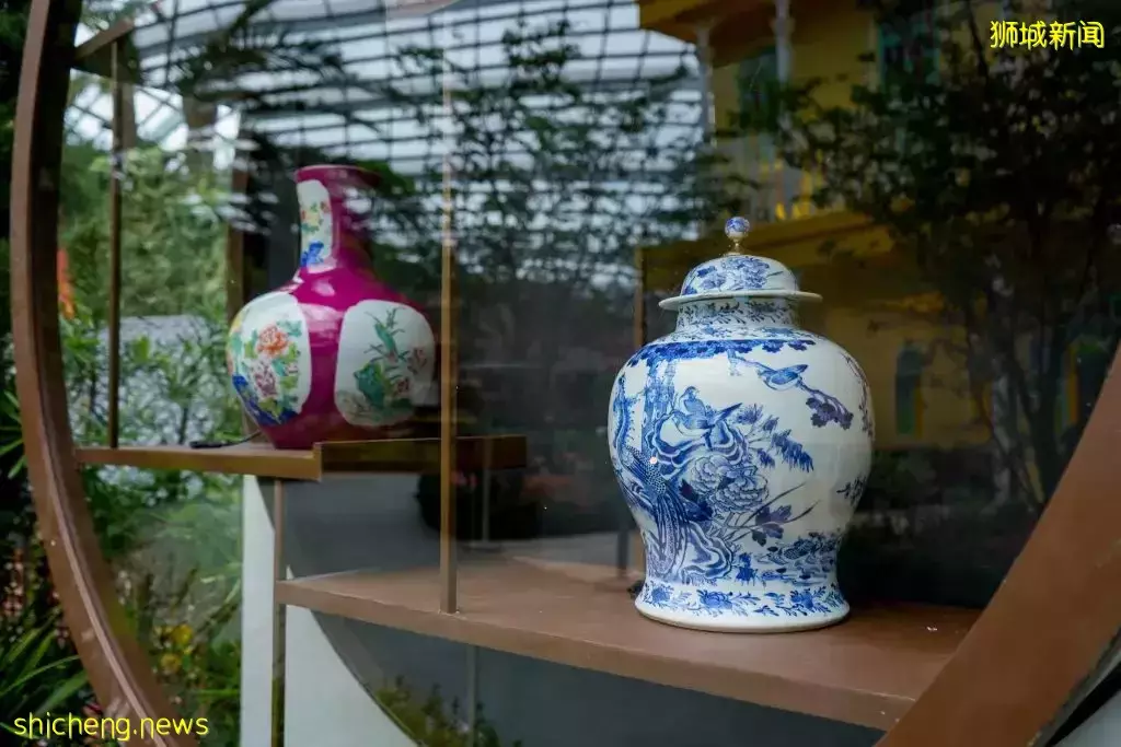 滨海湾花园富贵牡丹花卉展来了!与本地博物馆同时展出古董文物,值得一逛👍