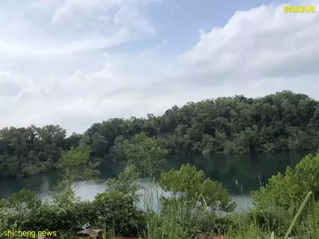 榴梿、野豬、猴子、各種魚蟹……體驗“新加坡最後的農村”