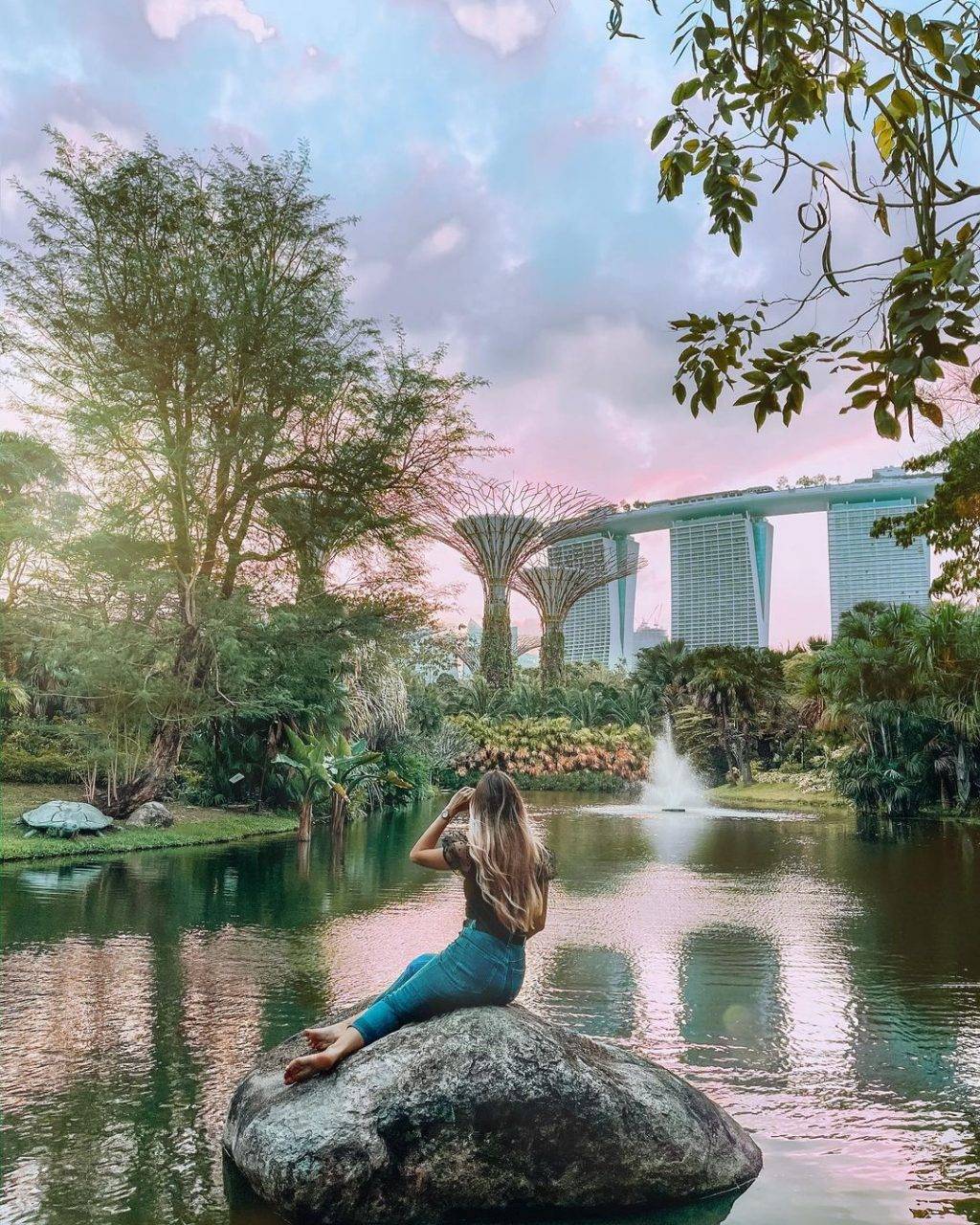發現這一抹綠💚解鎖新加坡森林系打卡點🌳青翠蔥郁、空靈意境，仙氣爆棚一秒出片⚡