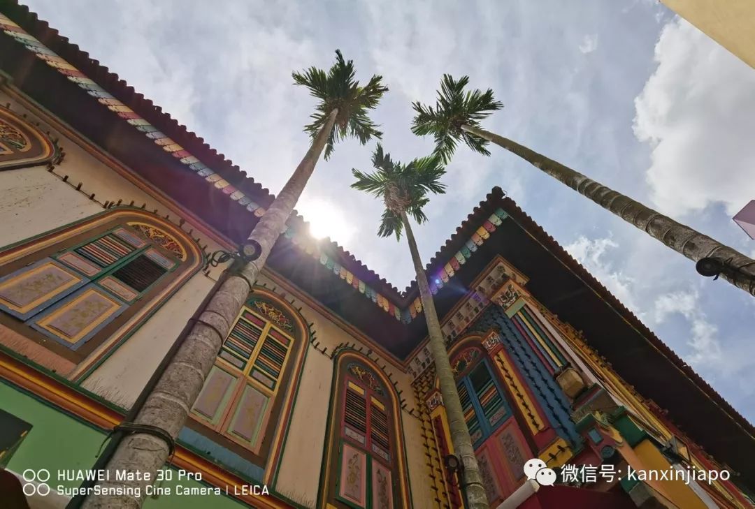 美炸！新加坡迎来屠妖节，小印度惊艳变这样！