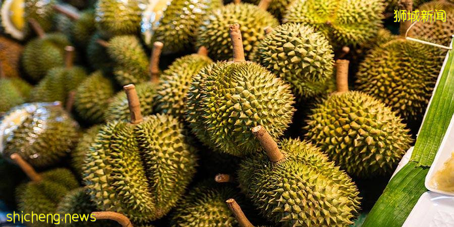 这次轮到西部的朋友了🎉 NTUC FairPrice Jurong East榴梿卖场!超低价格+多类榴梿品种💥