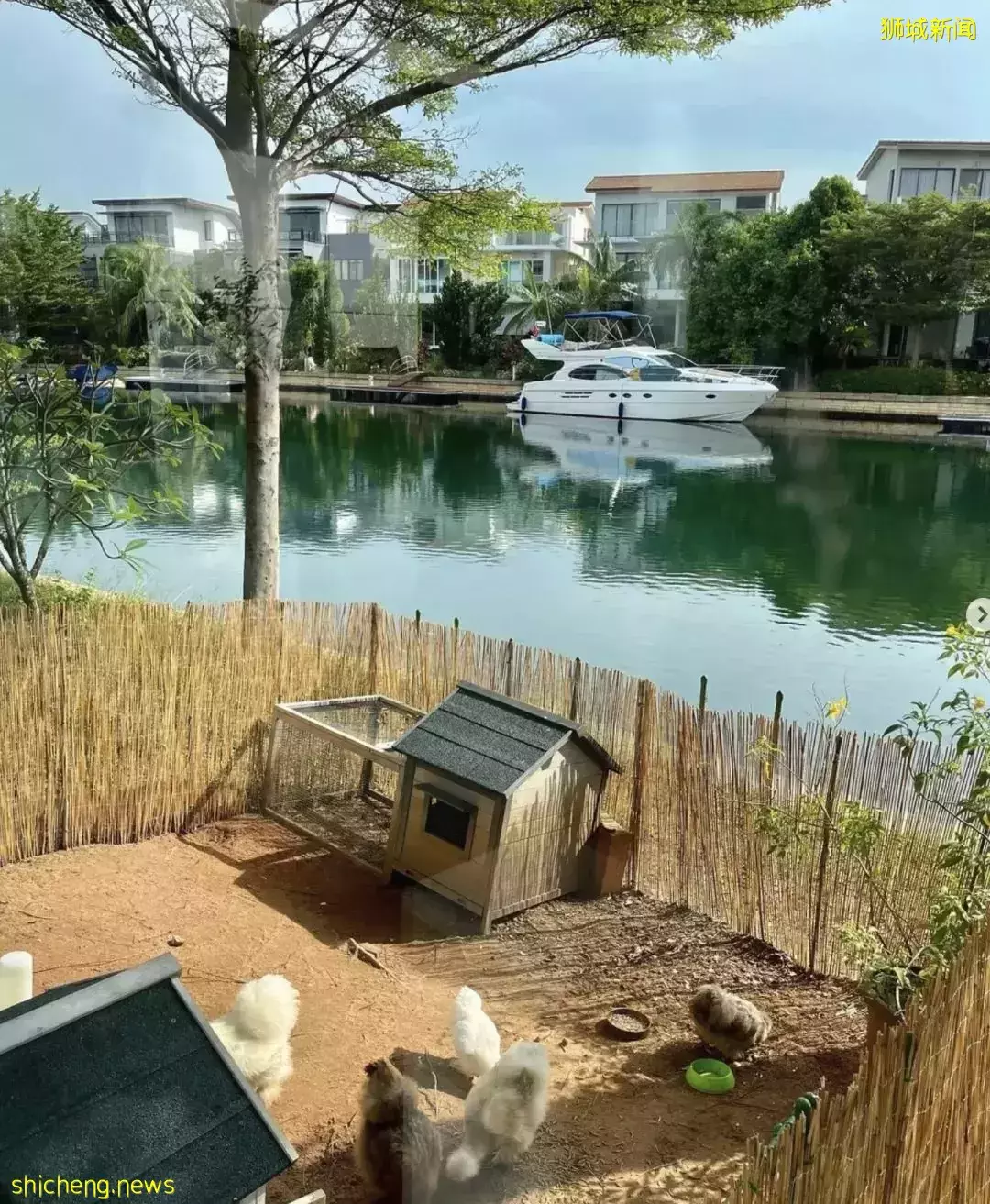 新加坡愛馬仕女王“新家”曝光！私人泳池25米、雞住海景房