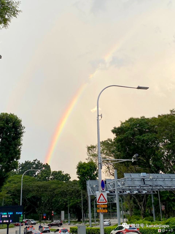 新加坡佳节祥瑞双彩虹！从副总理到外长，全岛都在拍照