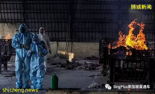 新加坡男子喊話移民局:禁止所有印度入境航班!鄰國成煉獄,新加坡怎麽防