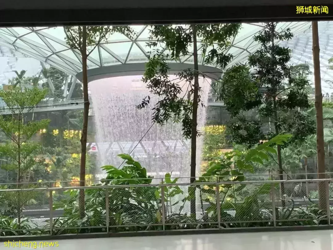 橫跨全島,我娃也要到這裏來玩,這個新加坡最佳遛娃地到底有什麽魅力