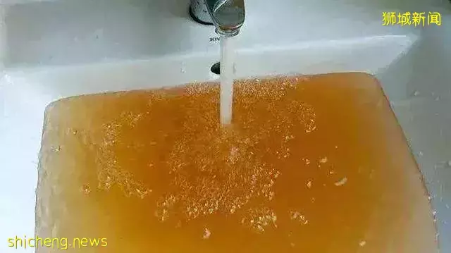 新加坡租屋水箱惊现女尸!伤口不断渗血,700人喝尸水!“凶手”无罪释放后与死者闺蜜在一起