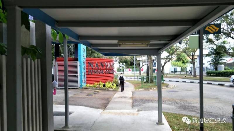 狮城最贴心的一道风景:无处不在的有盖走廊