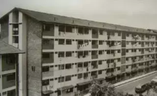 暴亂、大火、劫機、謀殺...新加坡曆史上的大事件，令人震驚 .