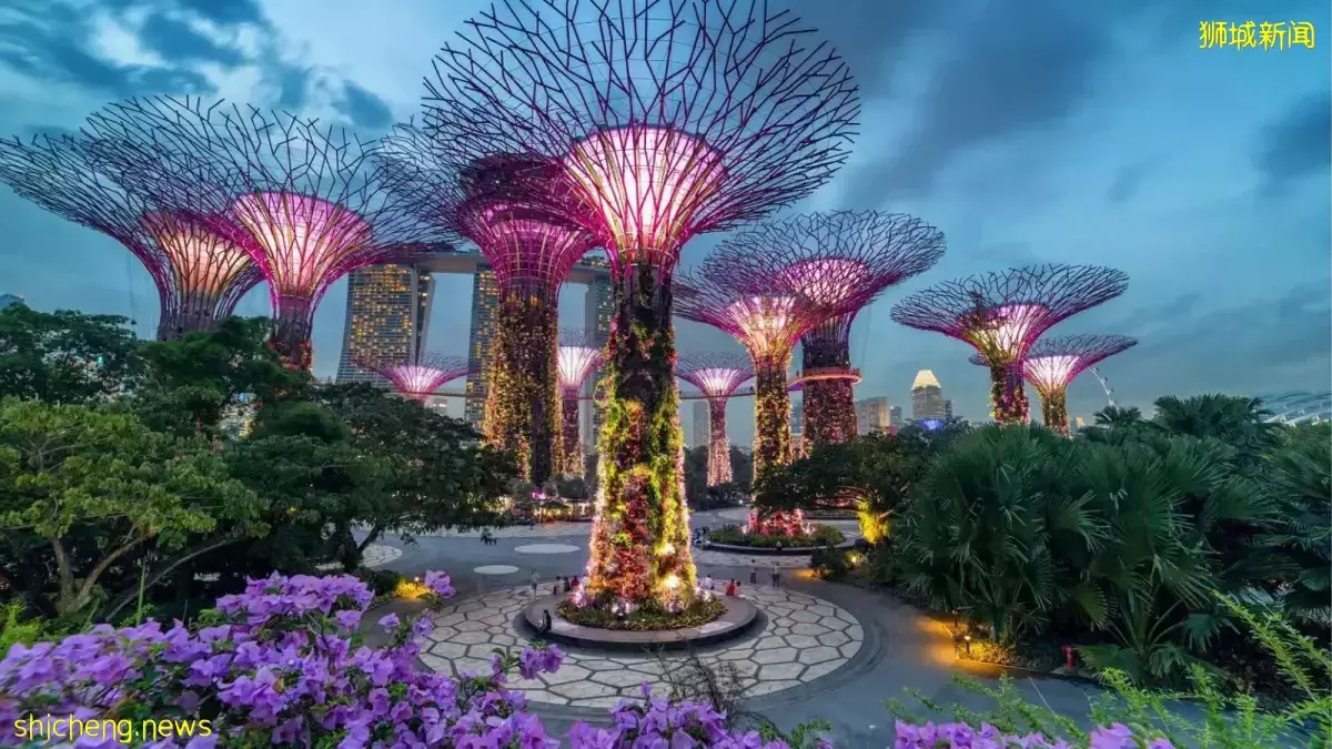 新加坡全面開放邊境，Go 旅城通票帶你暢遊《摘金奇緣》取景地