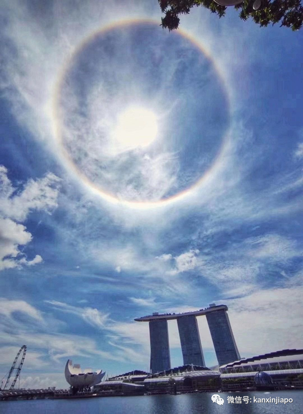 朋友圈刷屏!日晕奇景你们拍到了吗?