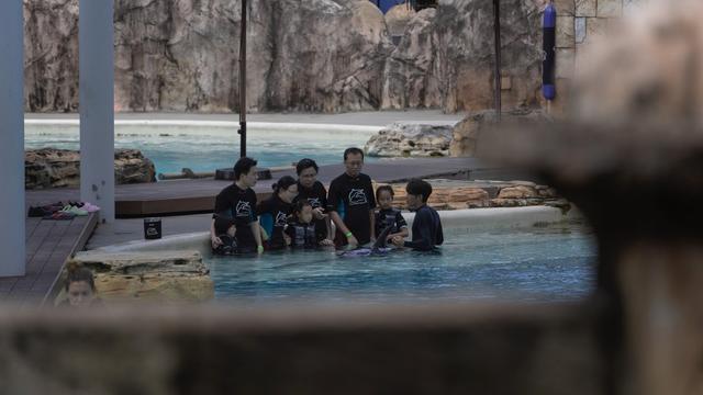 新加坡10天深度自由行，感受世界最嚴法律下的四大種族交融之地3