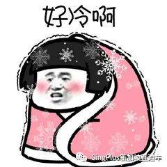 《新加坡最炫東北人圖鑒》