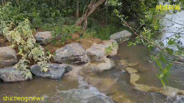 實拍!濱海灣花園新景點+聖淘沙首個“天空喜立”開放