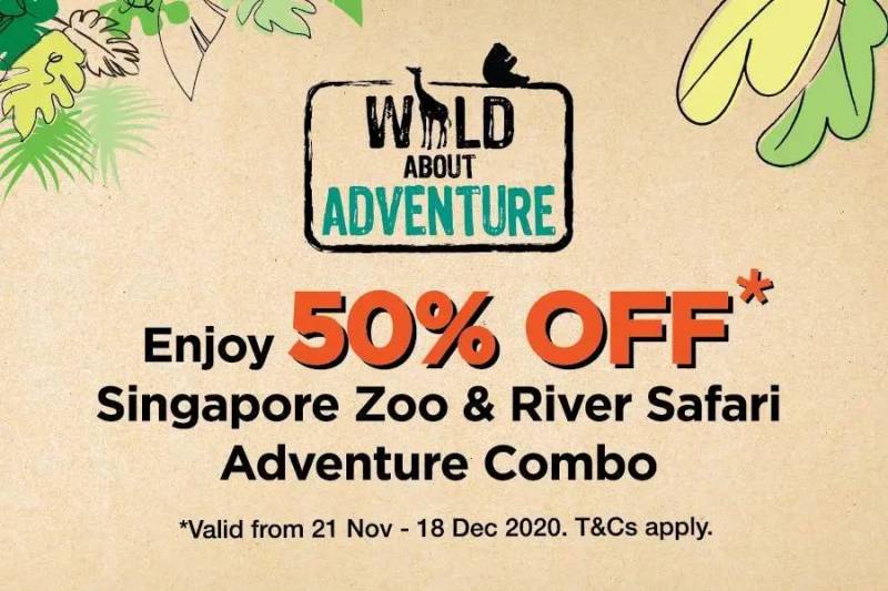 【每周折扣】雙十一後精彩繼續，最新一波吃喝玩樂攻略請收好