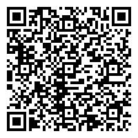 在小红点设公司 从“新”出发