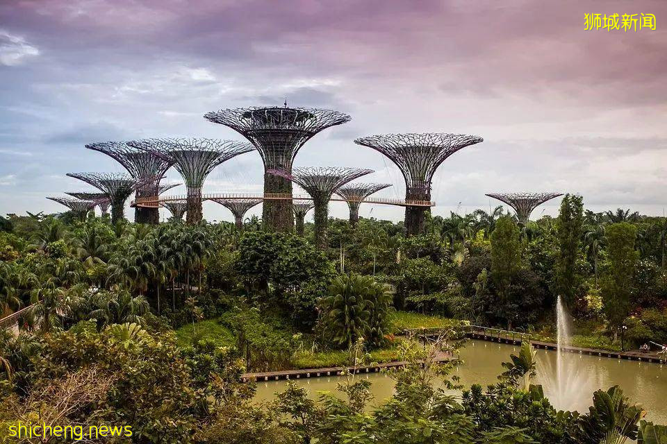 新加坡留學 爲什麽留學這兩地兒，今年這麽火爆