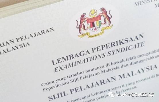 中国学生拿假文凭骗父母拿高薪?且看新加坡和中国如何打假