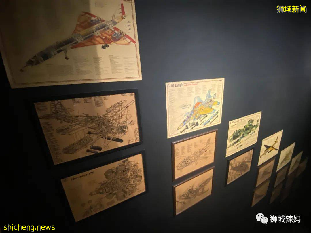 沖上雲霄！僅$75就能體驗開飛機的感覺！新加坡這間飛行學校太贊了