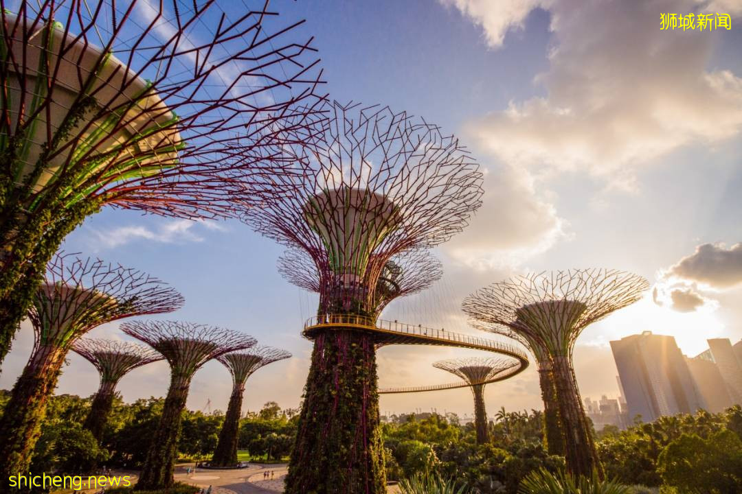 新加坡旅遊局 x ABC Cooking Studio 對這座花園城市狠狠“新”動了