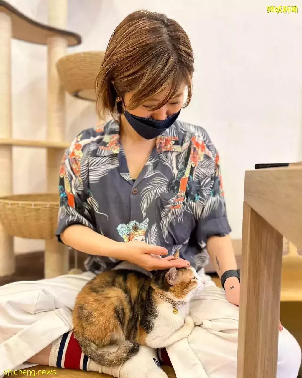 吃喝撸狗兩不誤!新加坡15家寵物友好咖啡廳 · 快上小可愛一起去體驗吧