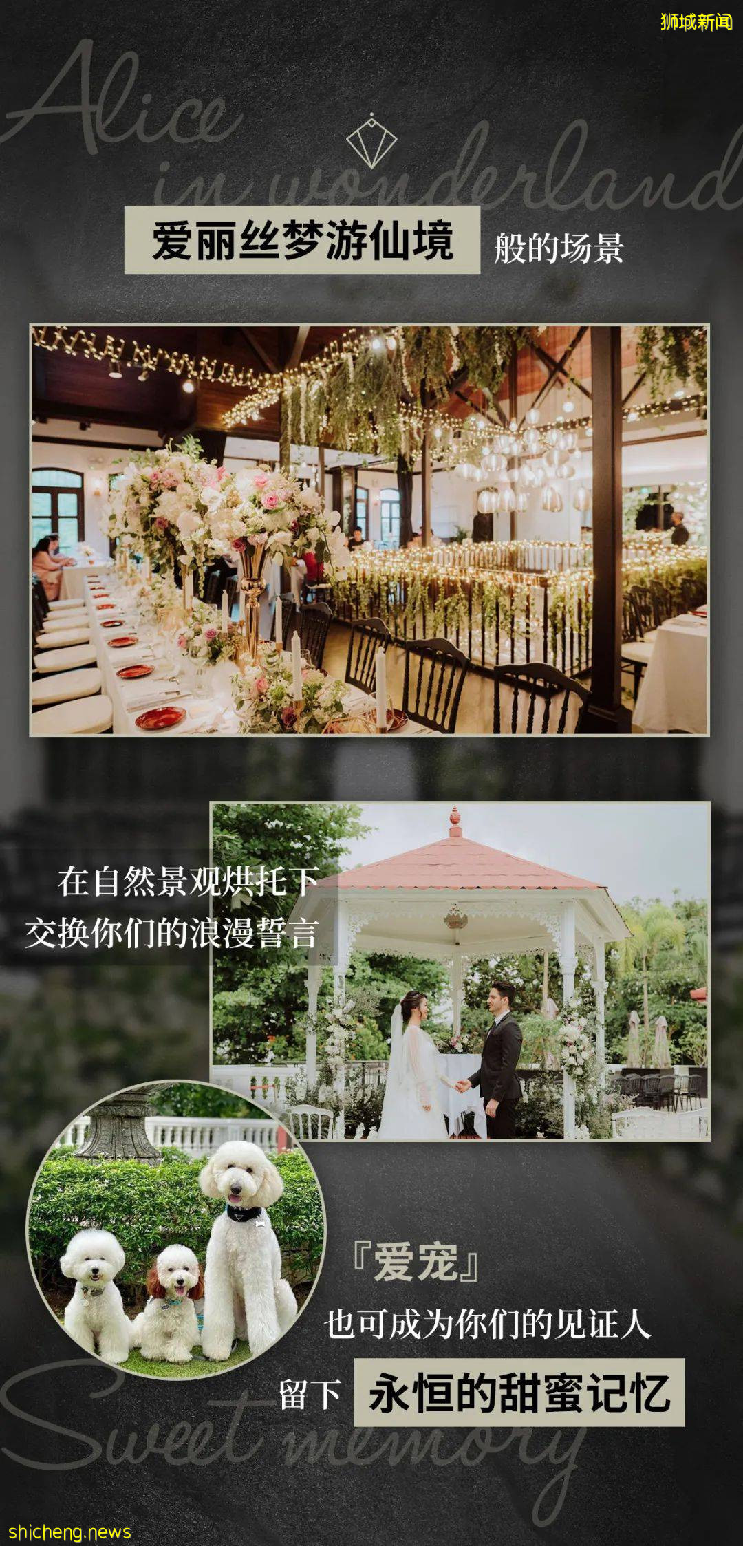 獅城的愛麗絲夢遊仙境，直落布蘭雅山間的歐式官邸The Alkaff Mansion