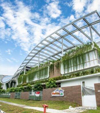 4月28日至6月14日，新加坡學生冠病病例彙總