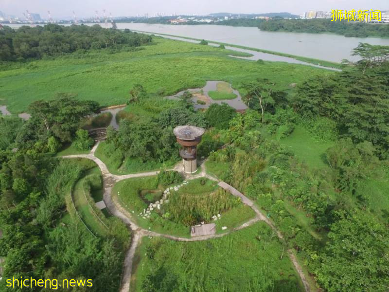15公裏步道、紅樹林、親子遊…新加坡要建超大自然公園,看看是不是就在你家附近