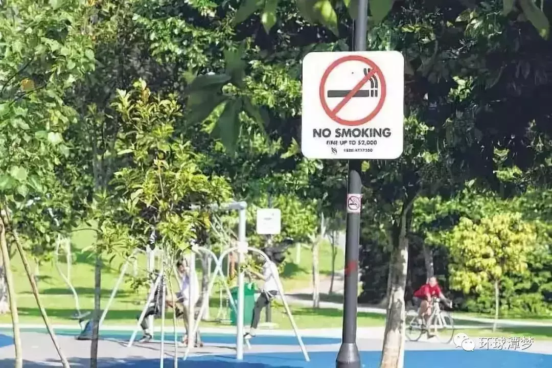 “花園城市”獅城新加坡現狀，帶你看看新加坡的冷知識