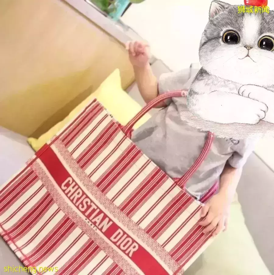 全是爆款！從$40到$6000新，小紅書最紅媽咪包我找齊了