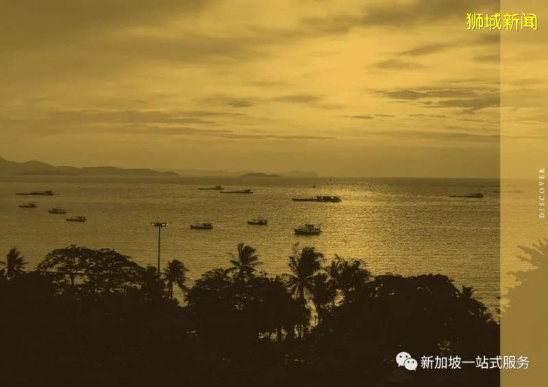 新加坡大學優勢和申請新