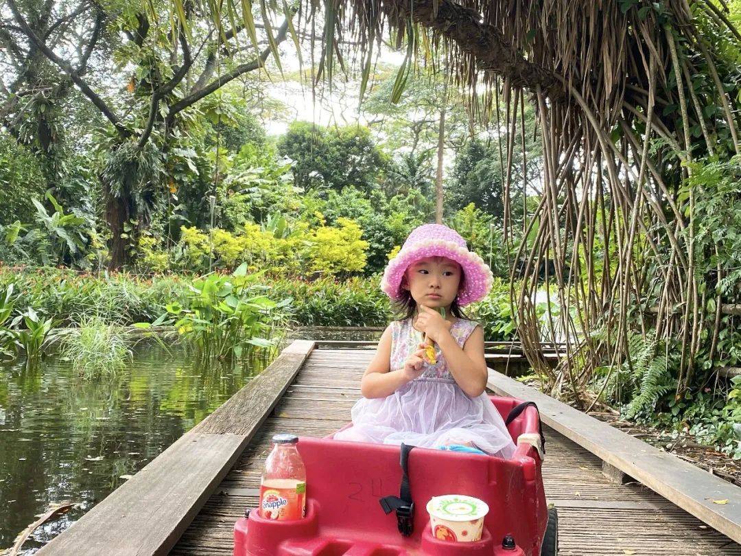 免費送票!帶倆娃嗨翻亞洲最大飛禽園,400多種5000多只鳥,一路驚喜不斷