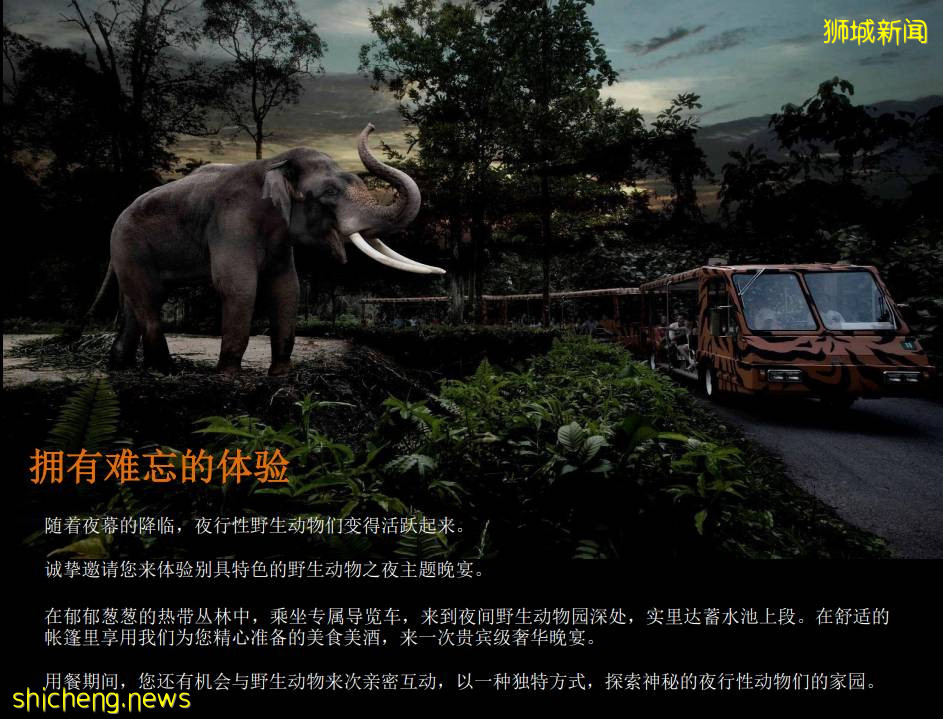 本周折扣！新加坡夜間動物園中秋奢華晚宴，折扣酒店，特價烤魚