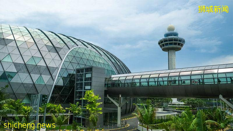 確保回國人民持陰性報告 · 獅城民航局:航空公司責任