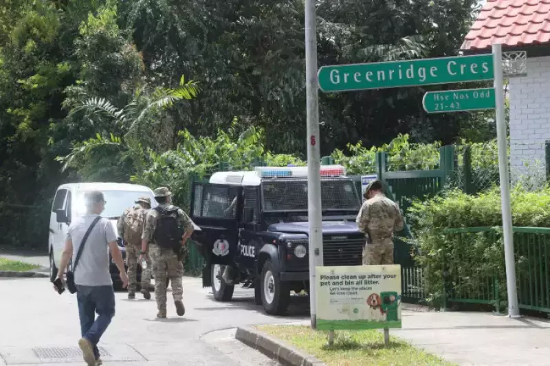 双胞小兄弟卧尸沟渠案　女佣称听见女子喊“救命”