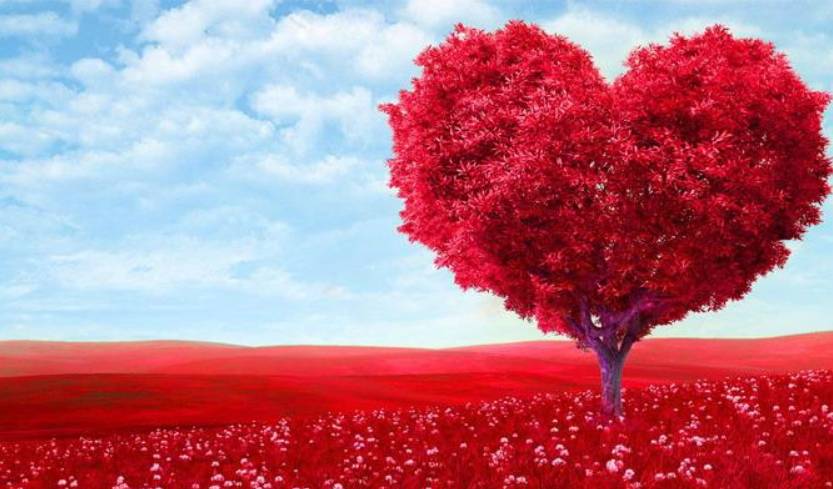 新加坡爱心客工搀扶阿嫲过马路引狂赞,网友邀其搭乘摩天轮