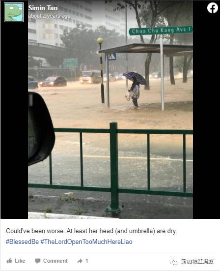 狮城最贴心的一道风景:无处不在的有盖走廊