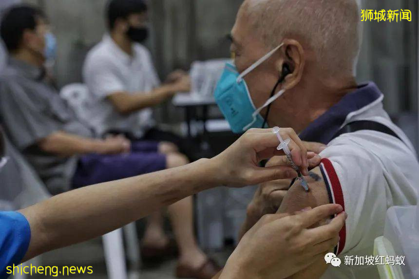 衛生部長:騎著冠病自行車下坡的新加坡,三大刹車器已生效