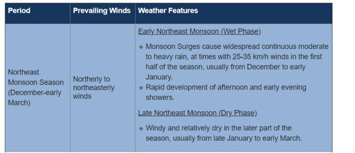 一夜入冬!新加坡30年來最潮一月!大雨還要持續多久