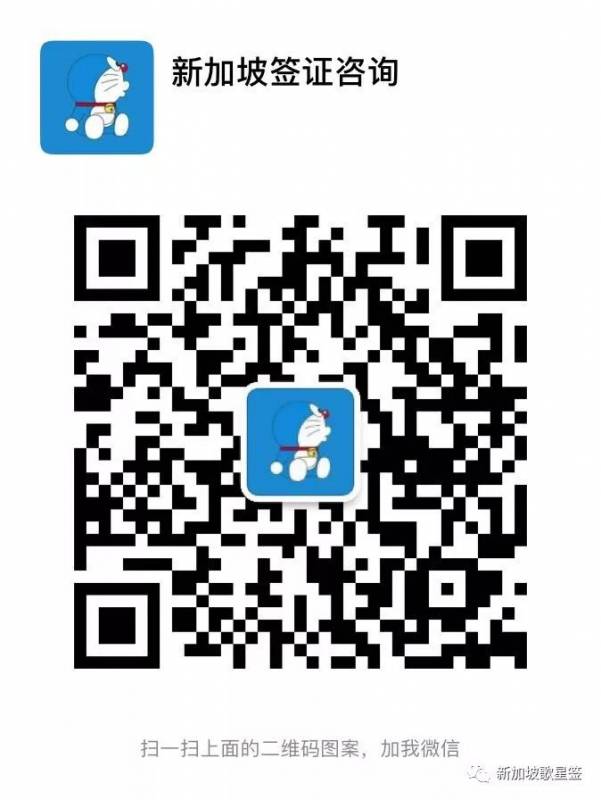 新加坡各准证介绍