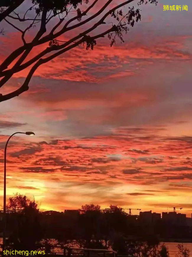 新加坡絕美晚霞霸屏網絡，你看了嗎？獅城這些地點最合適賞晚霞