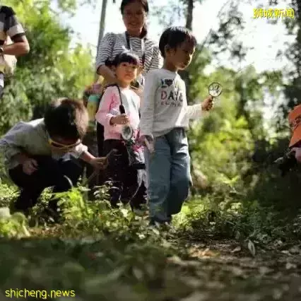 女记者为何要在疫情最严重时,独自带俩娃来新加坡上国际学校