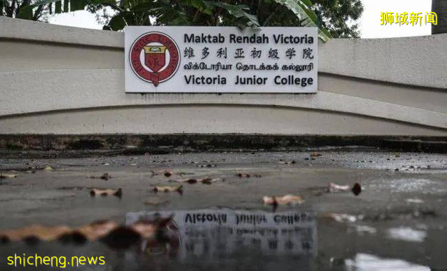 2022年最新 新加坡中小学和理工学院学费汇总