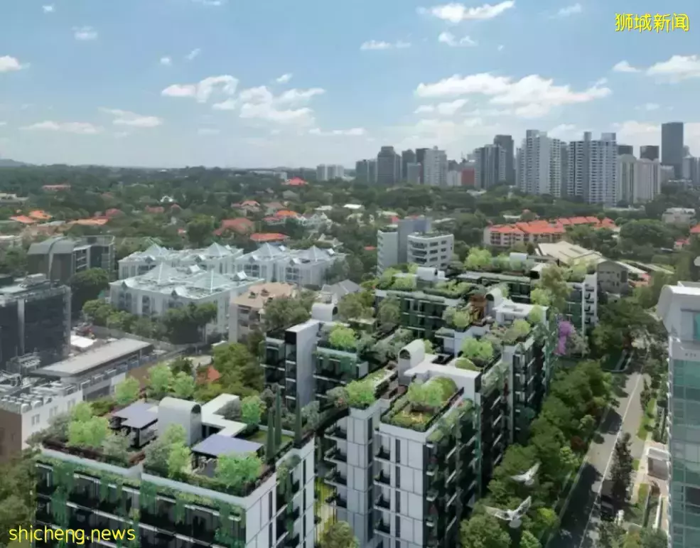 新加坡政府宣布推出最新一轮房地产降温措施