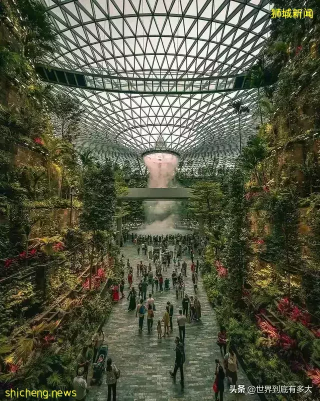 45张照片,带你见识新加坡,不为人知的另一面