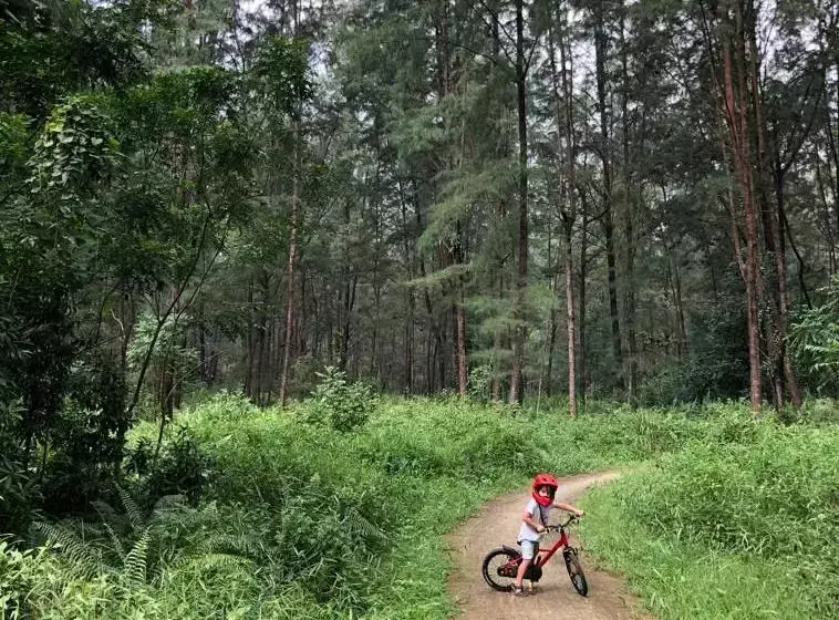 不用坐船,走路就能到!新加坡北部神秘離島,原始森林風光