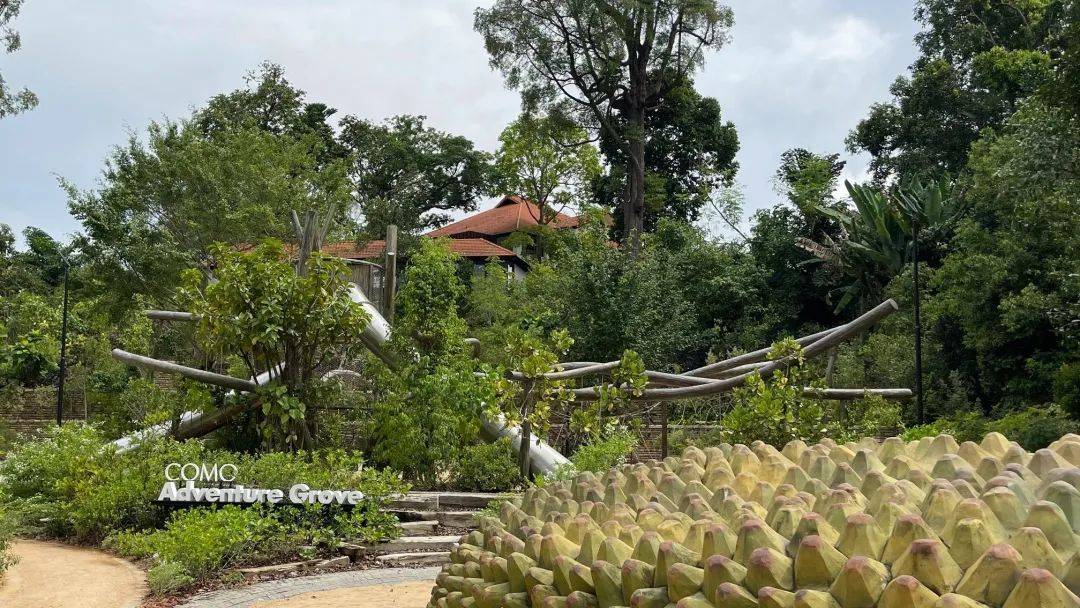 溜娃新去處!新加坡植物園推出新景點!COMO小樹林、巨型波羅蜜、探秘館、藝廊開放啦