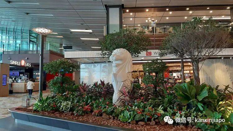 秋分时节，网友从新加坡回江苏的飞行体验