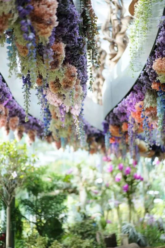 新加坡 不能错过的高颜值打卡地攻略(上)