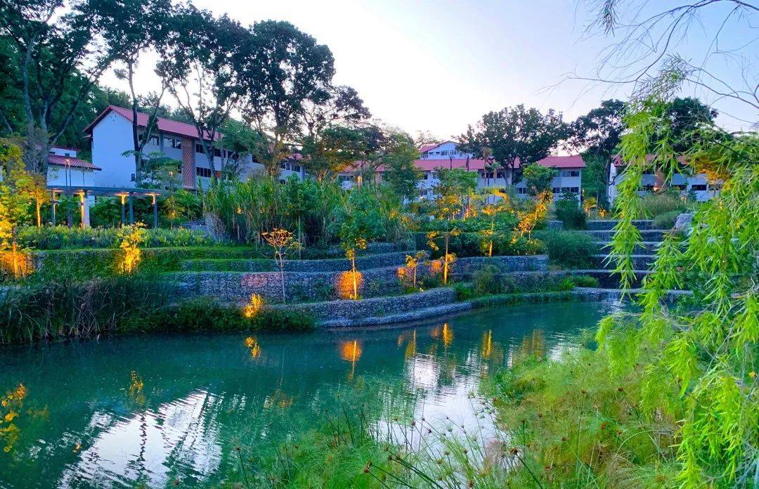 南洋理工大學，每一幀都很美