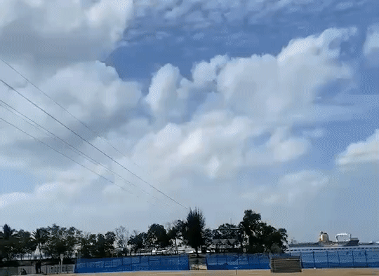 绝笔！新加坡眼编辑部要被一个实习生团灭了！